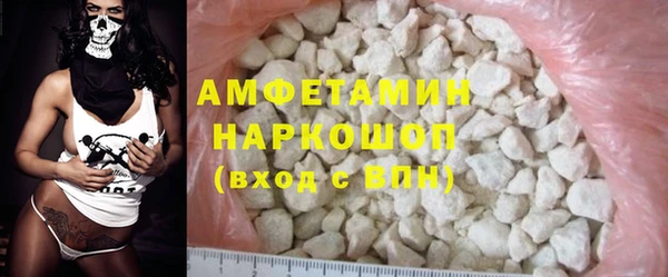 стаф Богданович
