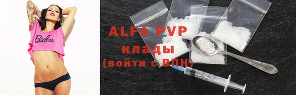 дживик Богородицк