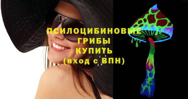 стаф Богданович