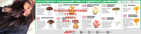 стаф Богданович