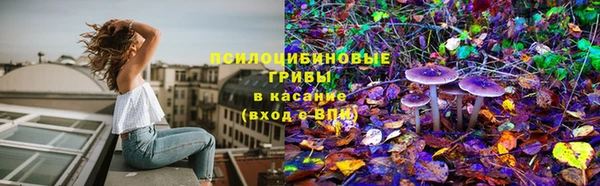 ешки Белокуриха