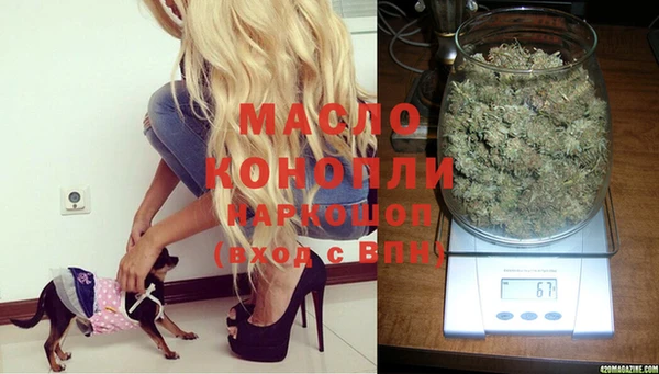 дживик Богородицк