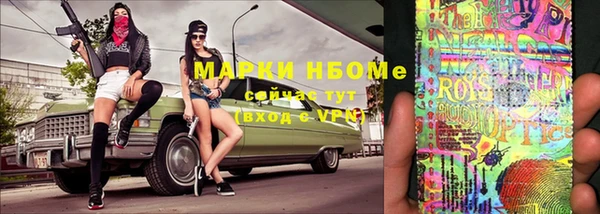 дживик Богородицк
