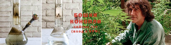 прущие крисы Беломорск