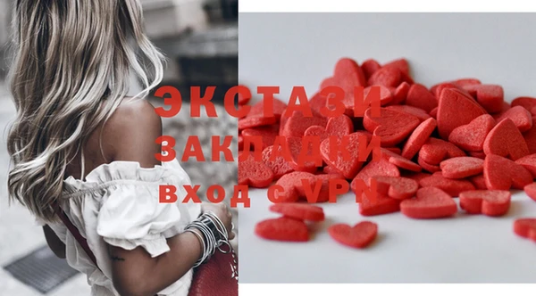 дживик Богородицк