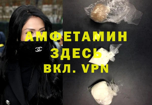 стаф Богданович