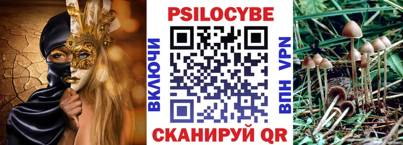 что такое Бодайбо Галлюциногенные грибы Magic Shrooms